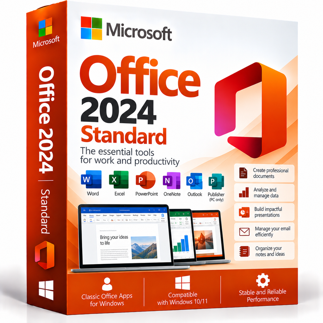 Microsoft Office 2024 Standard box